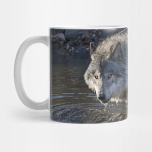 Grey Wolf Mug